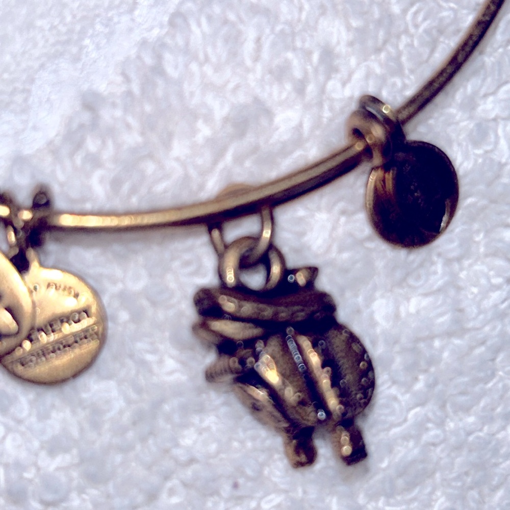 Alex and Ani gold metals adjustable bangle featuring a western saddle charm